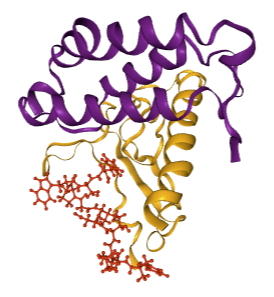 Understanding Working Mechanism of Peptide Unbinding with a Neural Network